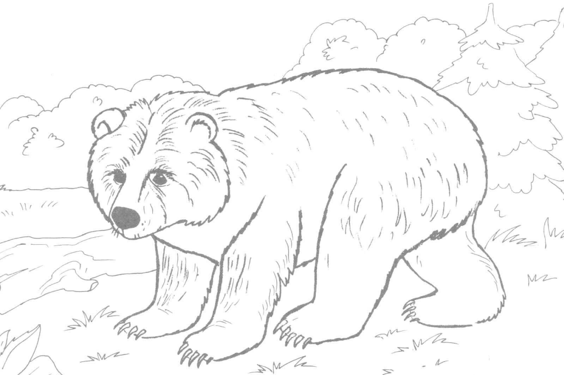 Printable Brown Bear Brown Bear Coloring Pages