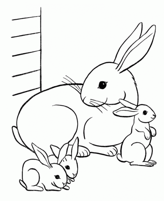 Printable Bunny Coloring Pages Printable Bunny Coloring Pages
