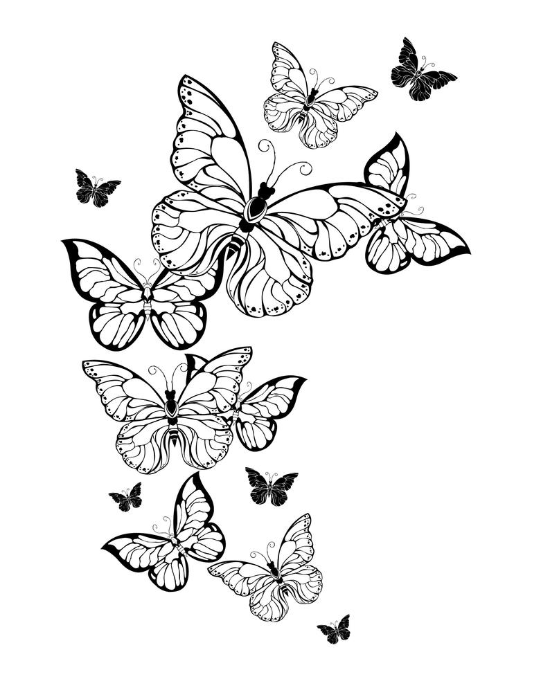 Printable Butterfly Coloring Pages For Adults Prntbl