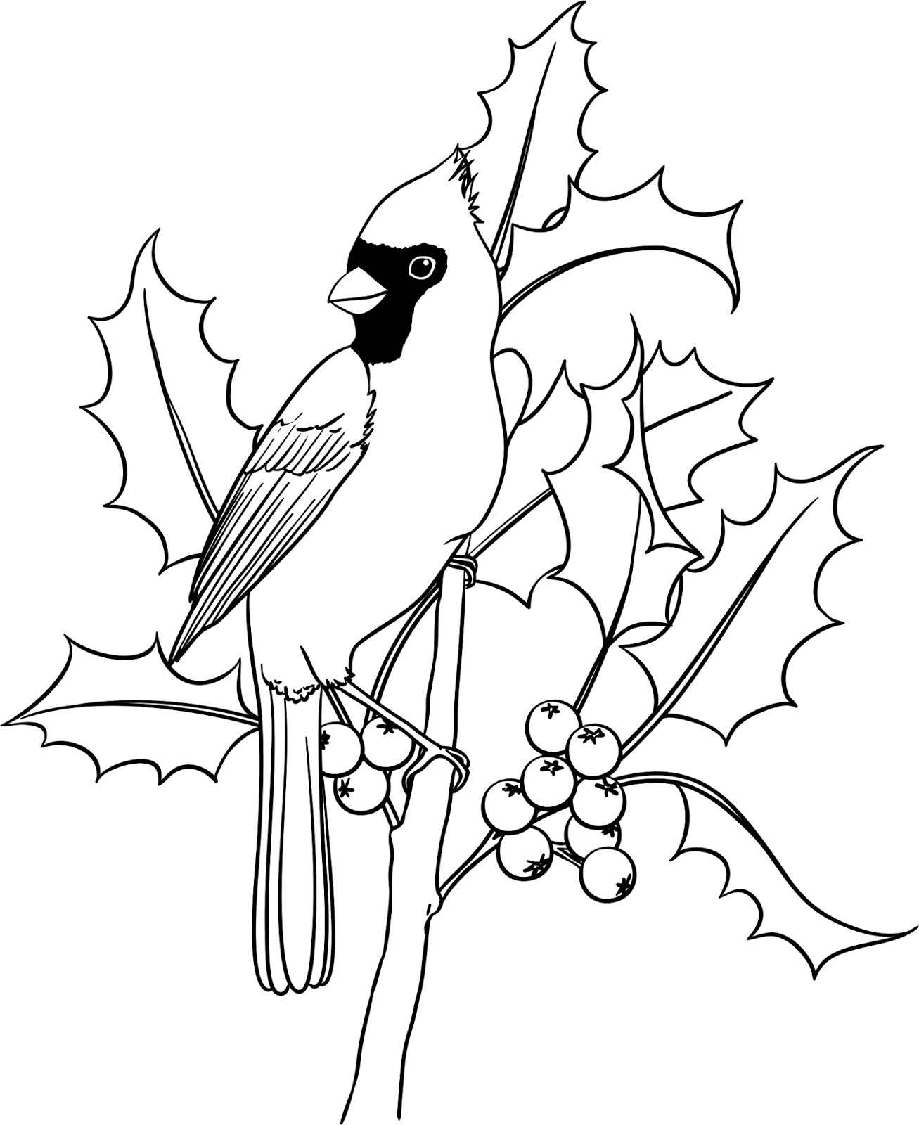 Printable Cardinal Coloring Page