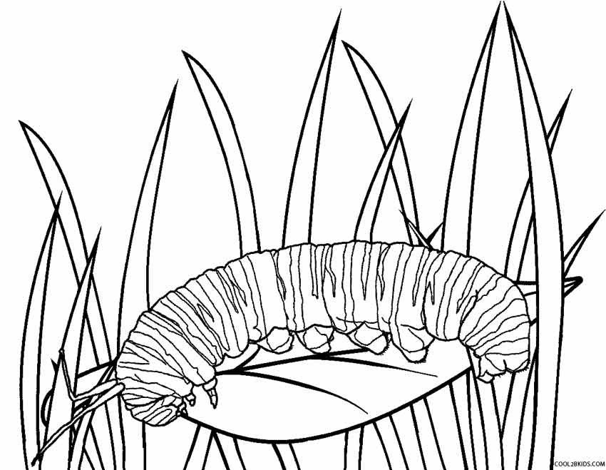Printable Caterpillar Coloring Pages Printable Caterpillar Coloring Pages