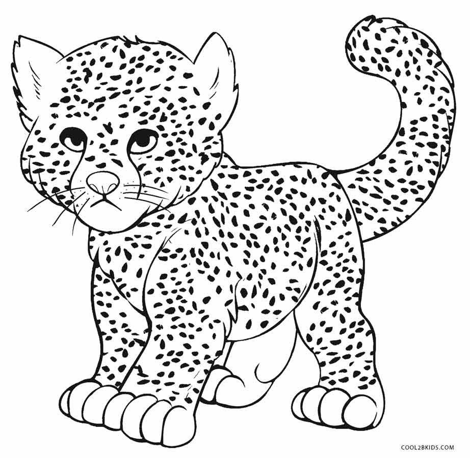 Printable Cheetah Coloring Pages For Kids Cool2Bkids Free Printable Printable Cheetah Coloring Pages For Kids Cool2Bkids Free Printable
