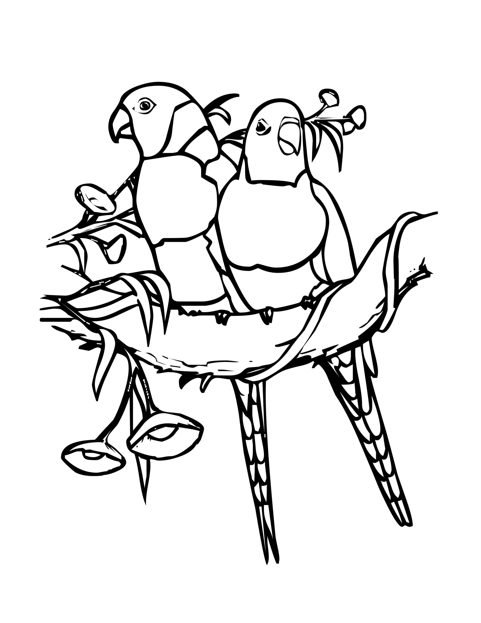 Printable Coloring Pages Birds Printable World Holiday Printable Coloring Pages Birds Printable World Holiday