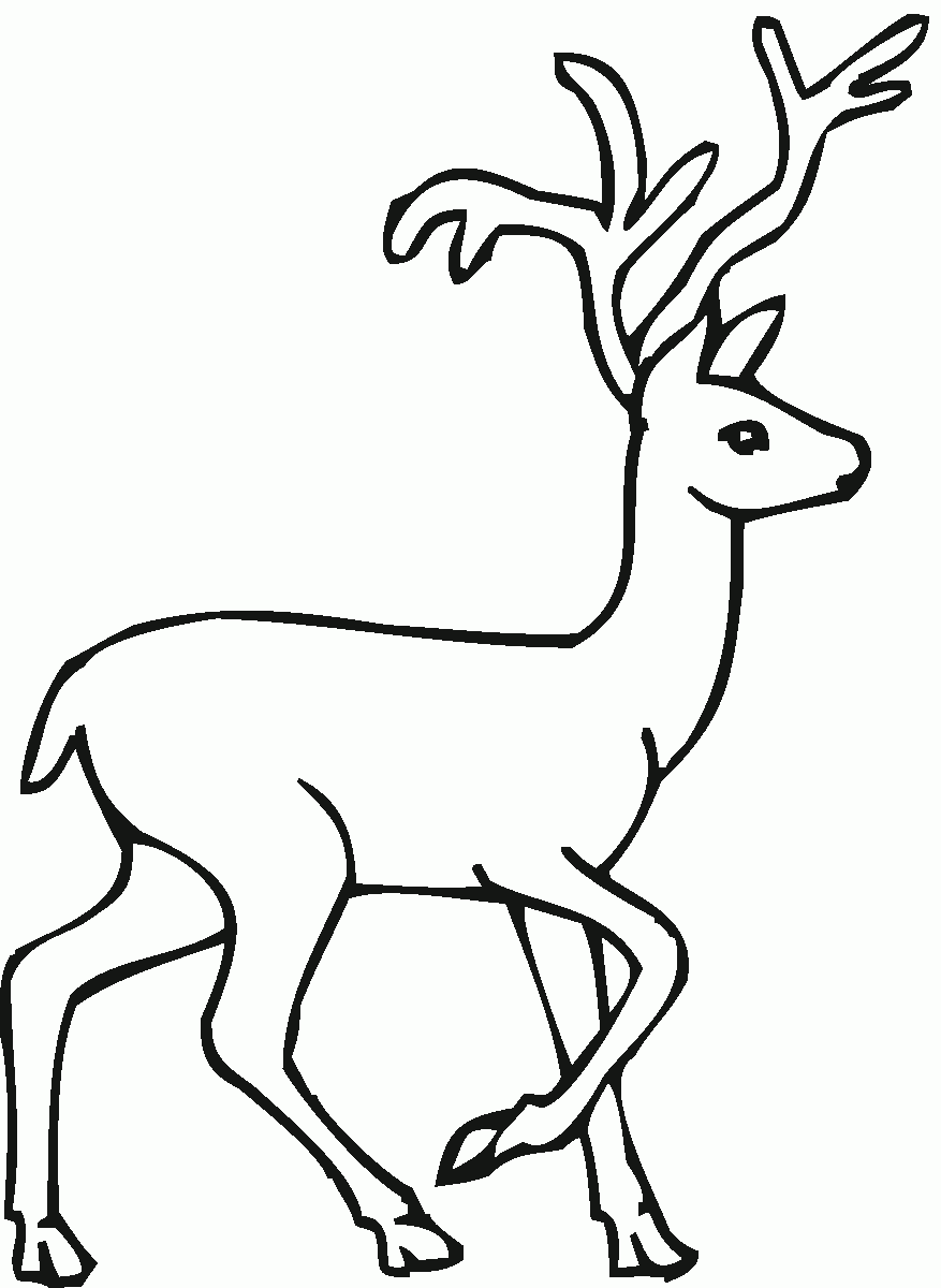 Printable Coloring Pages Deer Printable Coloring Pages Deer