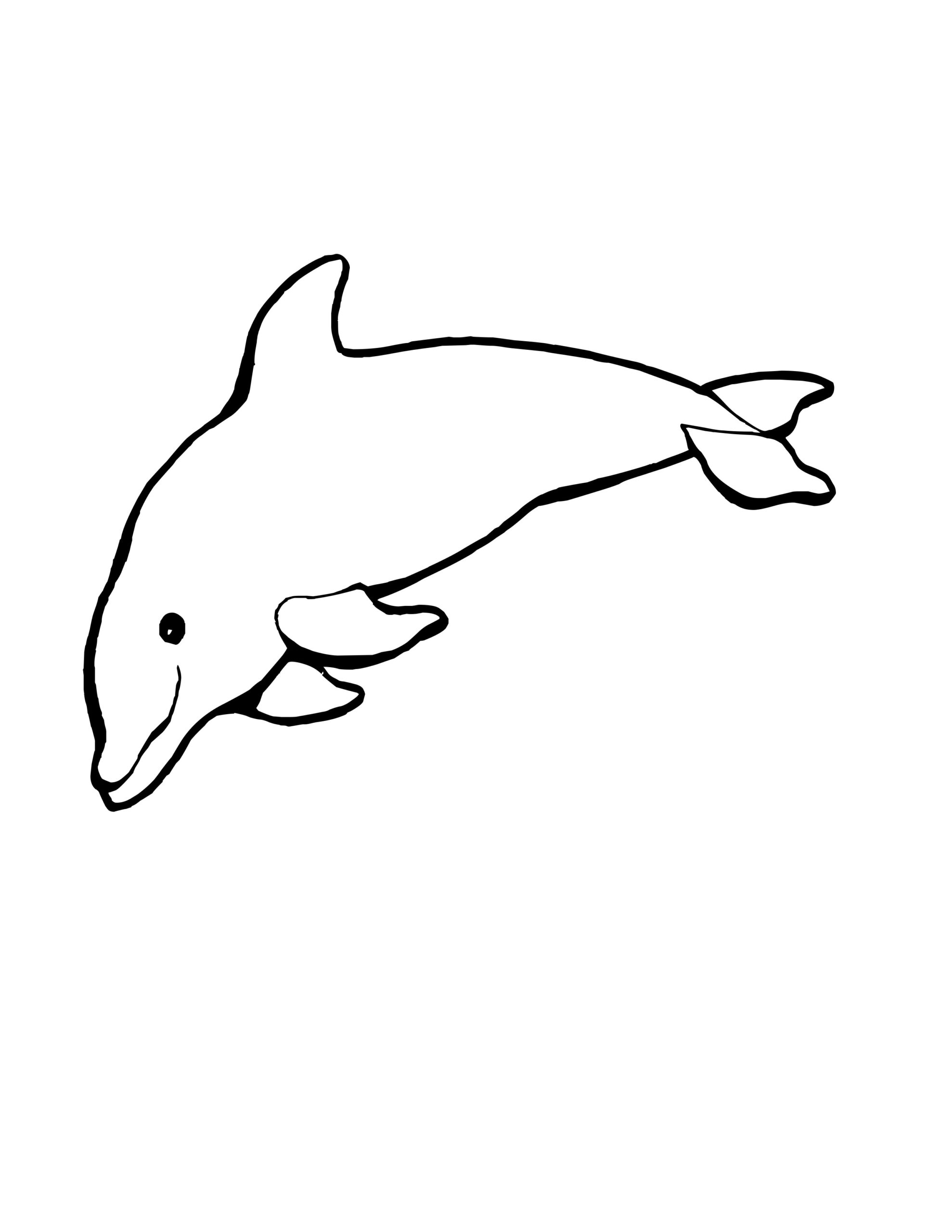 Dolphins Printable Coloring Pages Dolphins Printable Coloring Pages