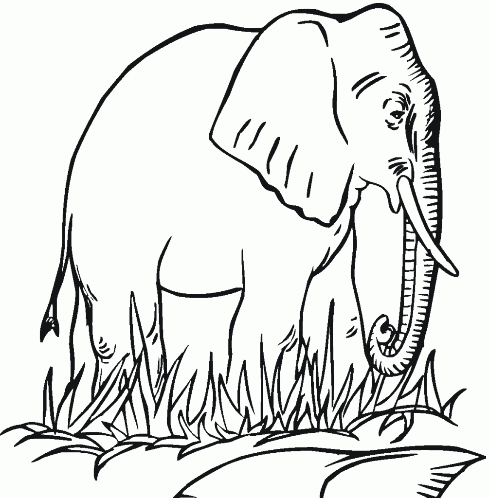 Printable Coloring Pages Elephant Printable Coloring Pages Elephant
