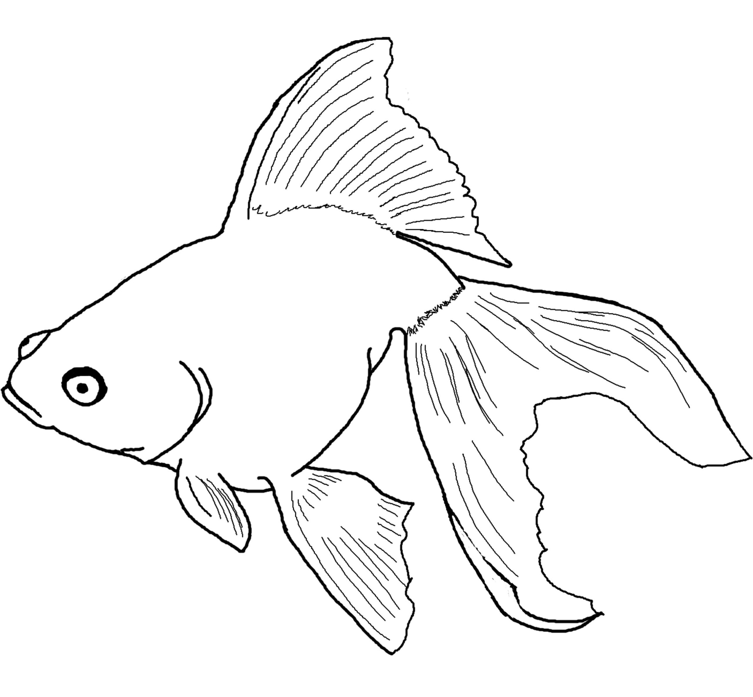Printable Coloring Pages Fish Printable Coloring Pages Fish