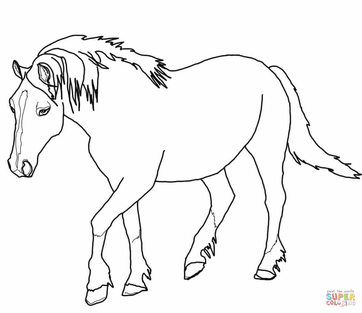 Printable Coloring Pages Horses Printable Coloring Pages Horses