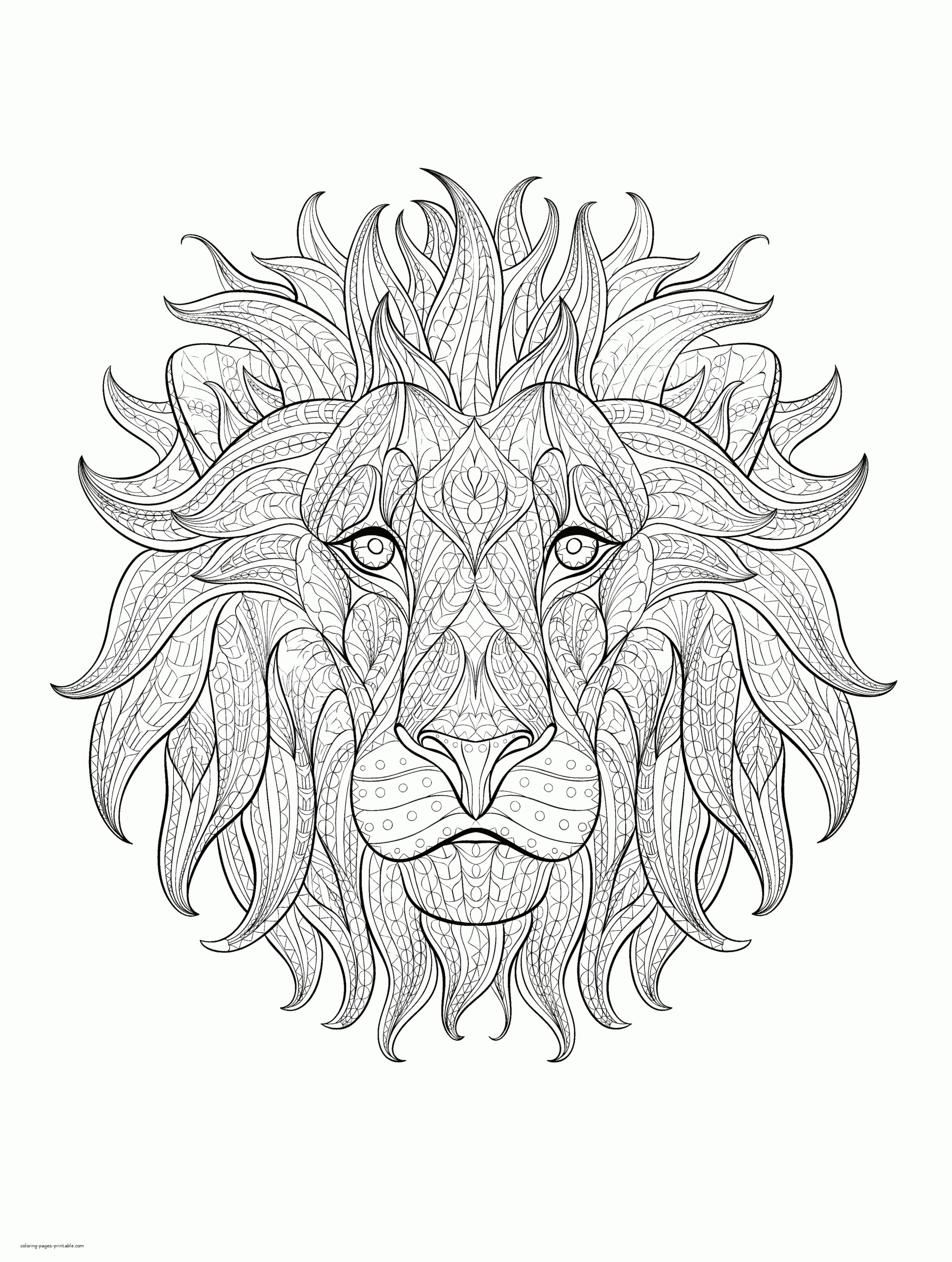Printable Coloring Pages Lion Printable Coloring Pages Lion