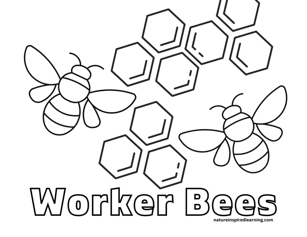 Printable Coloring Pages Of Bees Printable Coloring Pages Of Bees