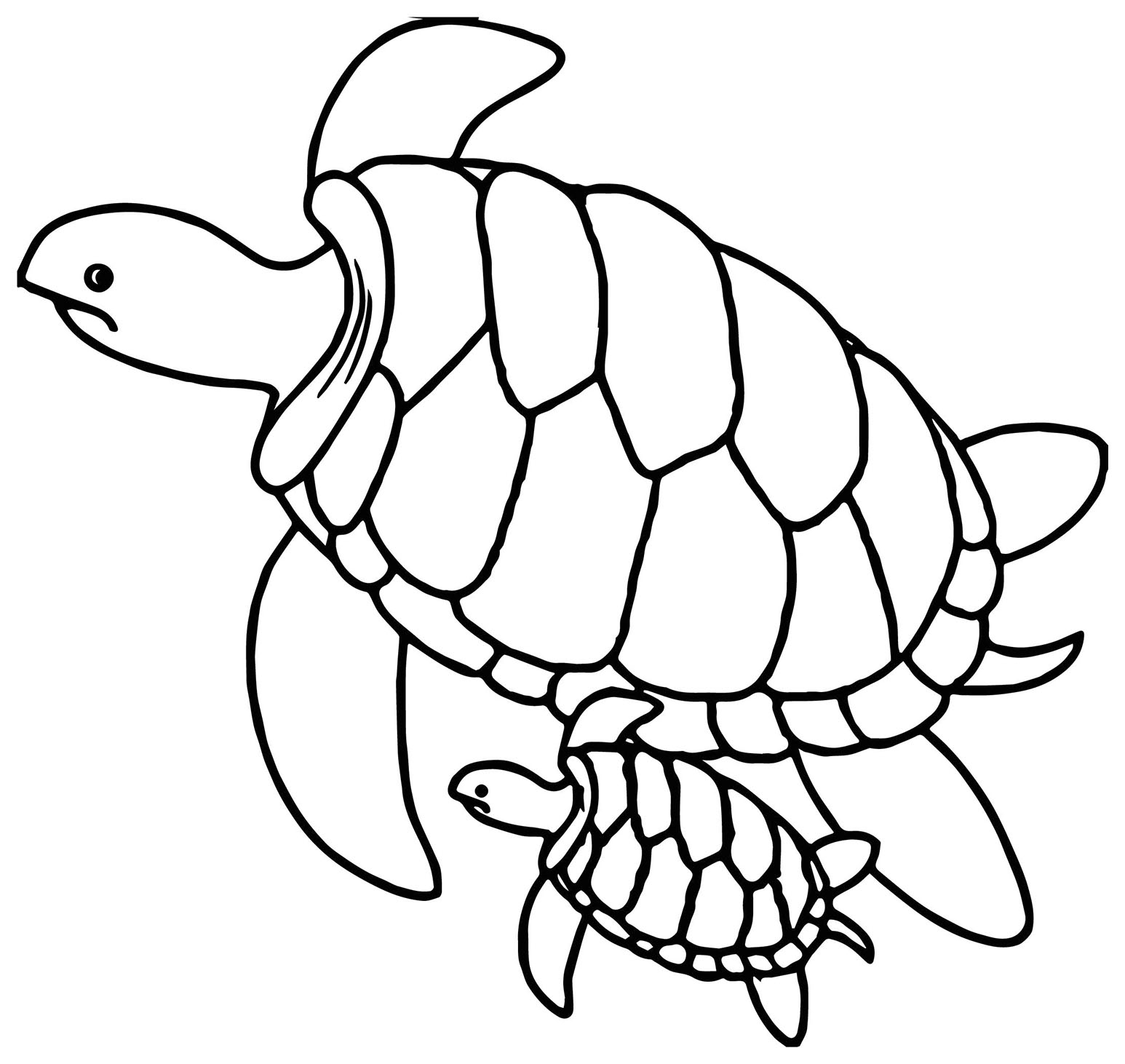 Printable Coloring Pages Turtle Printable Coloring Pages Turtle