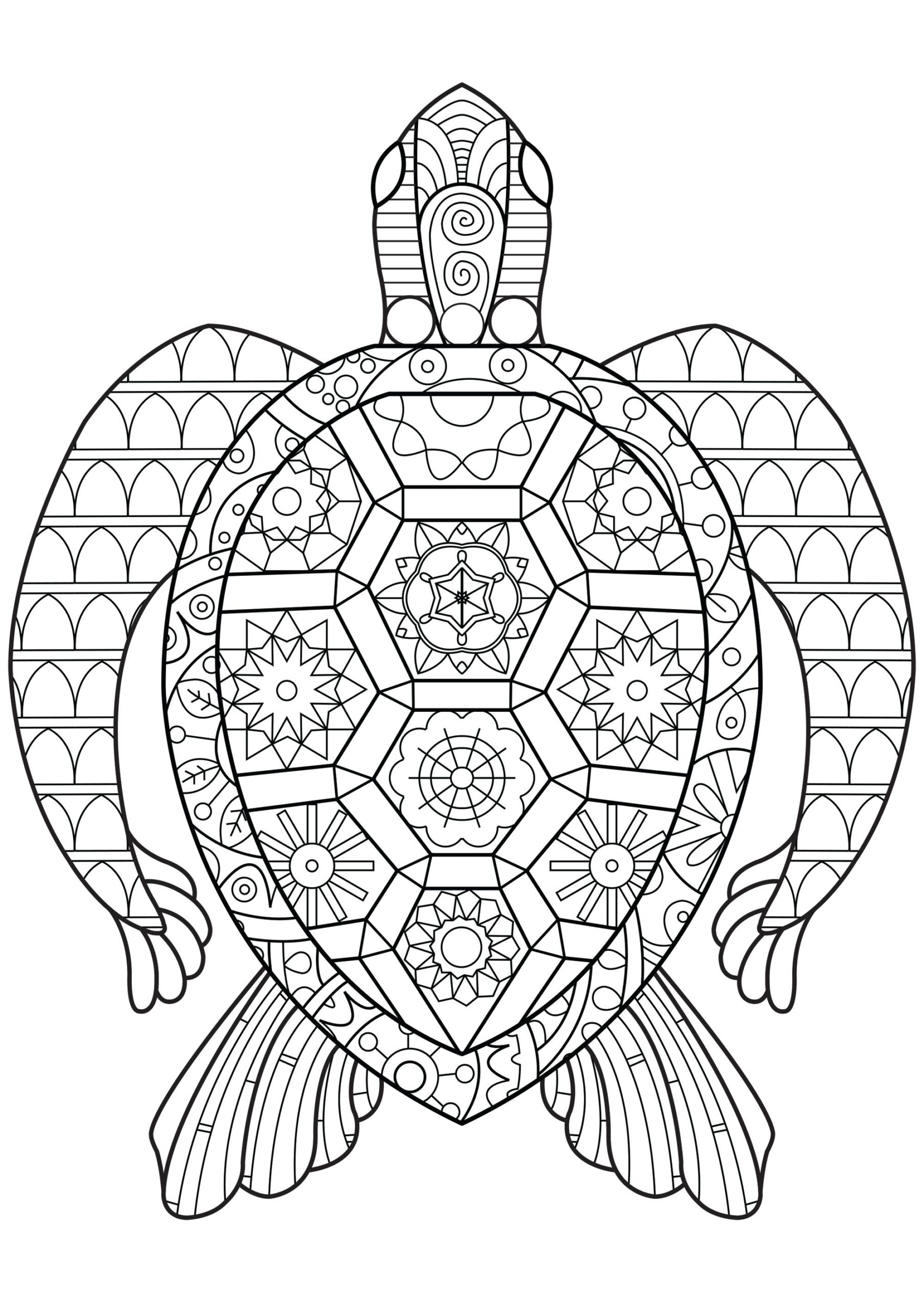 Printable Coloring Pages Turtle Printable Coloring Pages Turtle