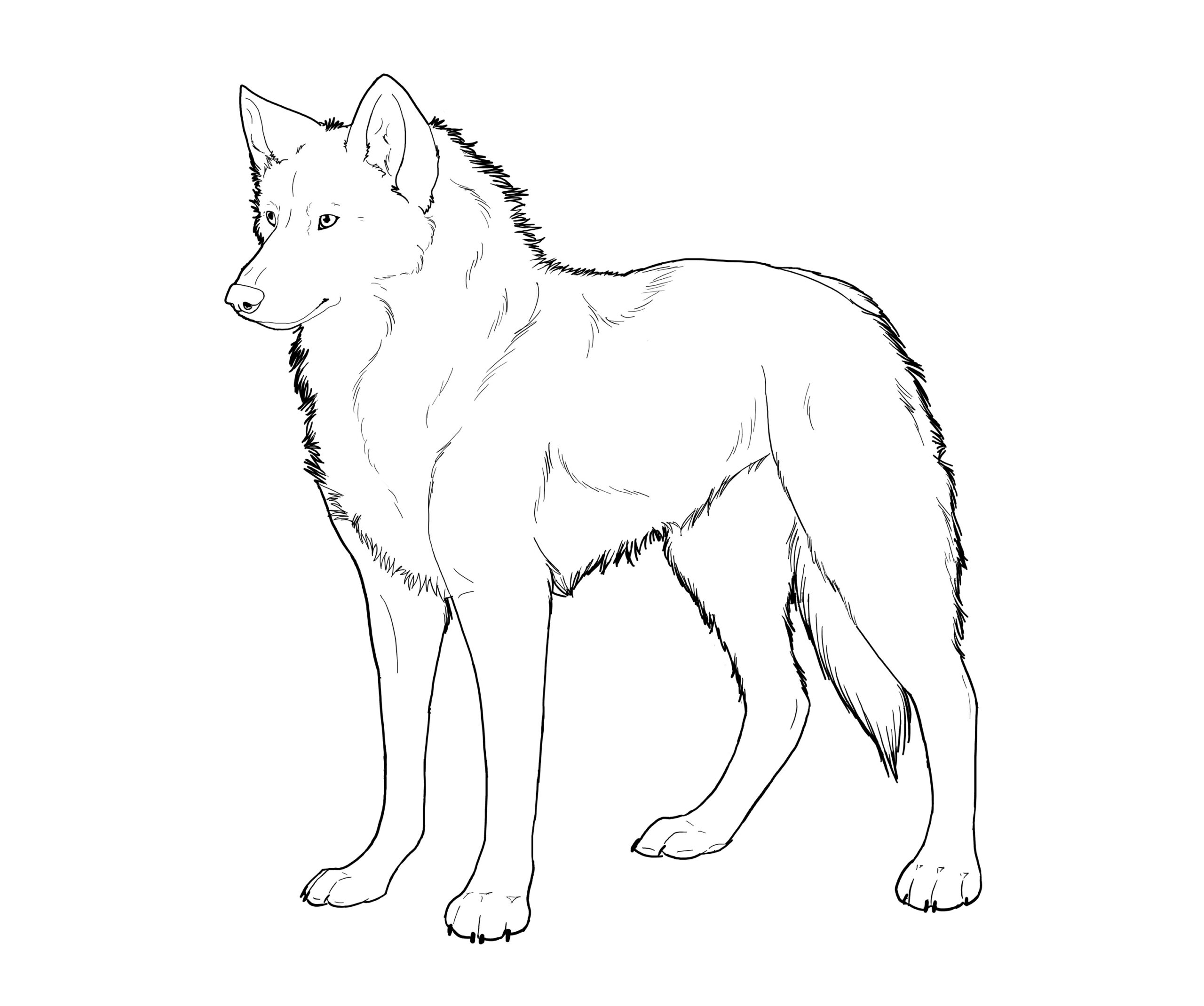 Printable Coloring Pictures Of Wolves Printable Coloring Pictures Of Wolves