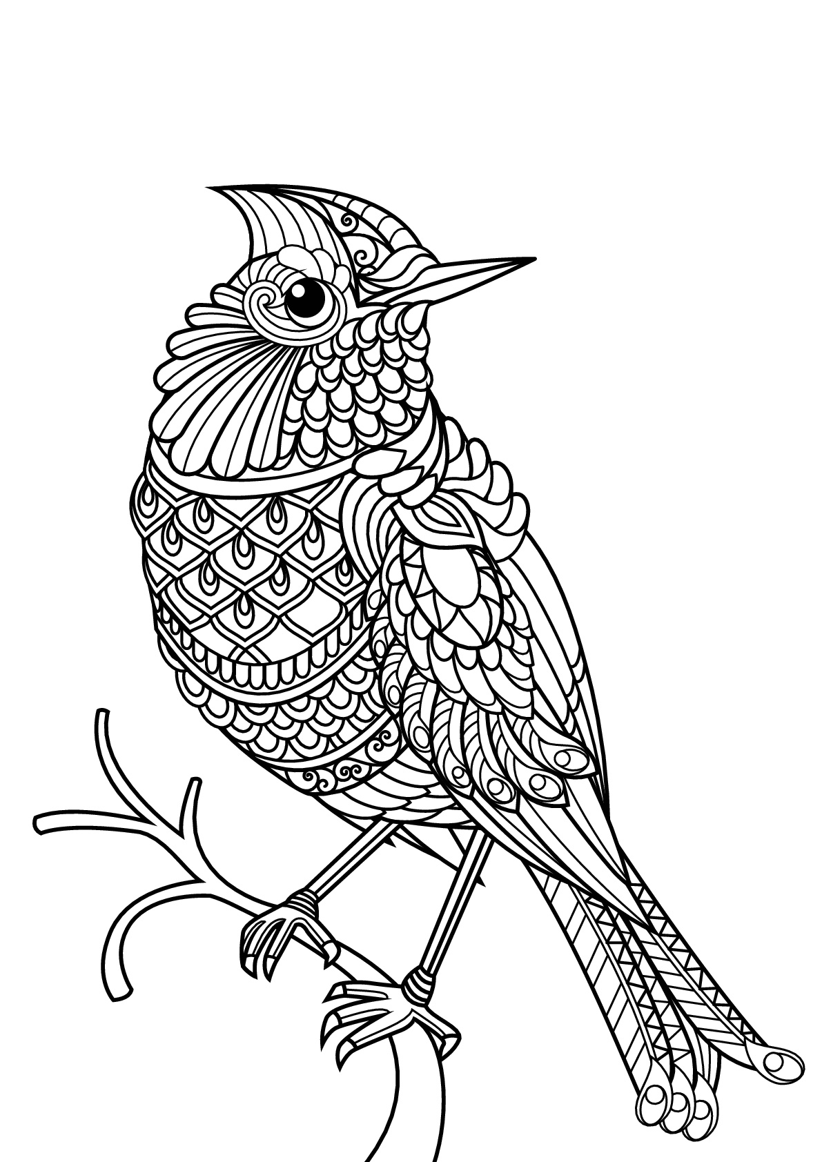 Printable Colouring Pages Birds