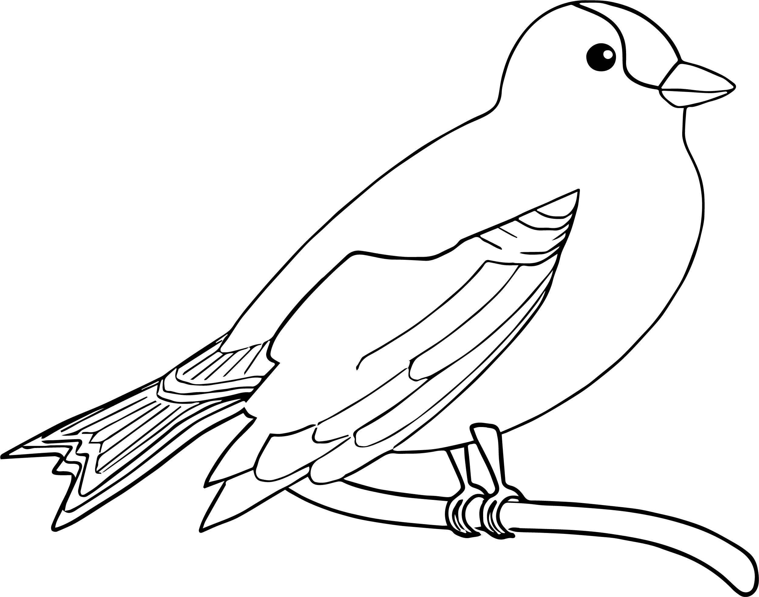 Printable Colouring Pages Birds