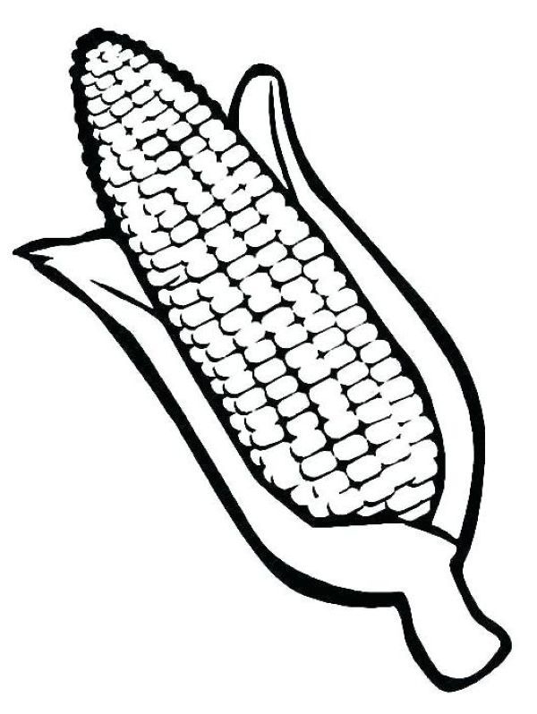 Printable Corn Coloring Pages Printable Corn Coloring Pages