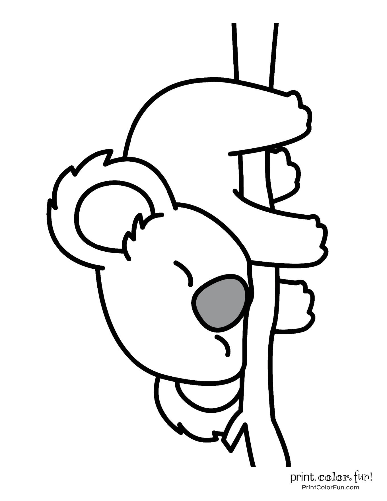 Printable Cute Koala Coloring Page My XXX Hot Girl Printable Cute Koala Coloring Page My XXX Hot Girl