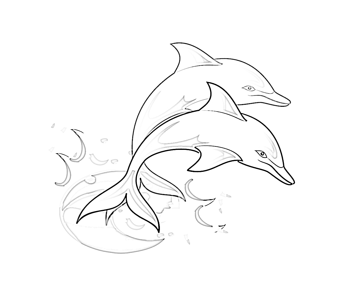 Free Printable Dolphin Coloring Pages Free Printable Dolphin Coloring Pages