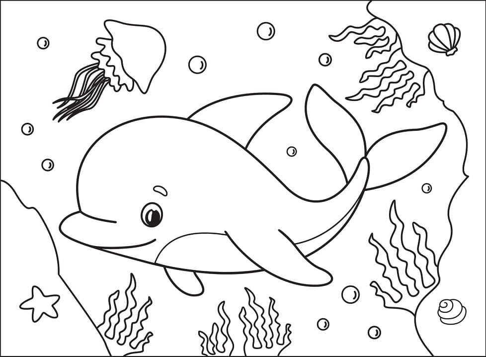 Printable Dolphin Images Printable Dolphin Images