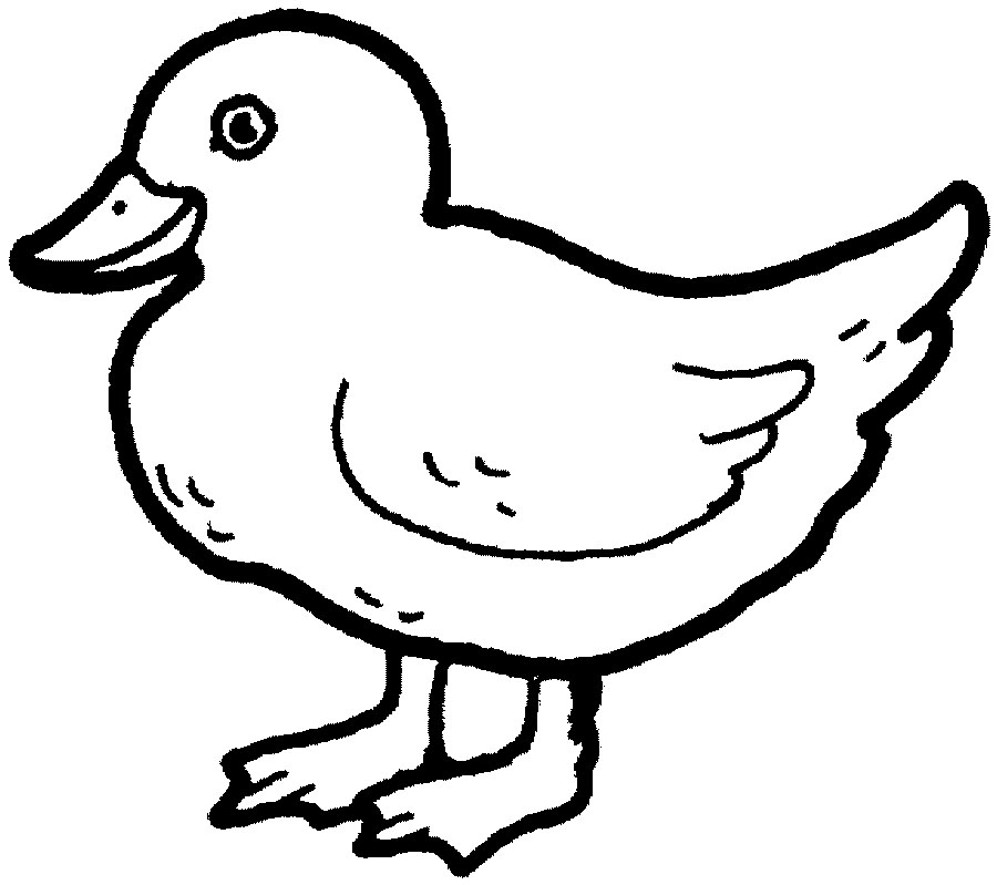 Printable Duck Coloring Pages Printable Duck Coloring Pages