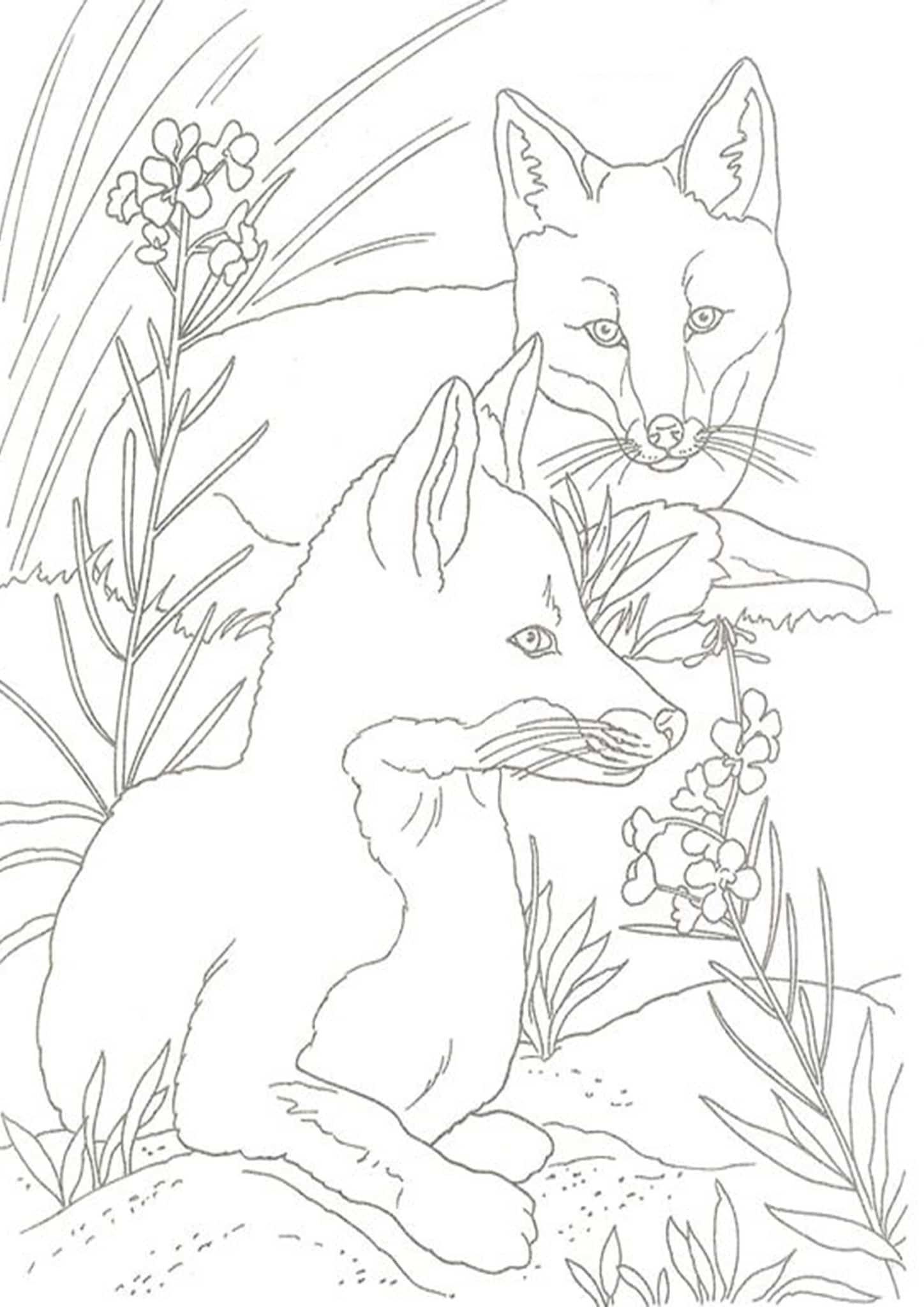 Printable Fox Coloring Pages