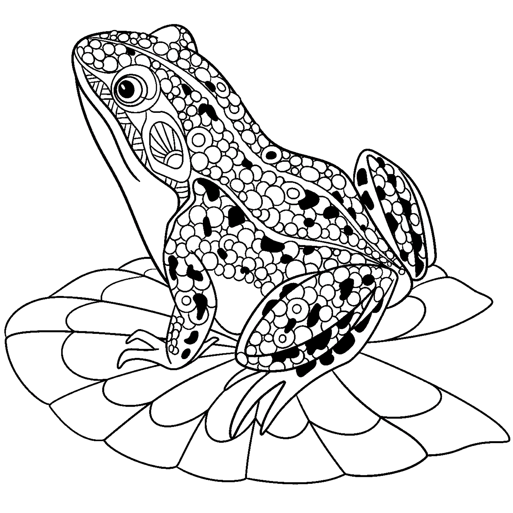 Printable Frog Coloring Pages Printable Frog Coloring Pages
