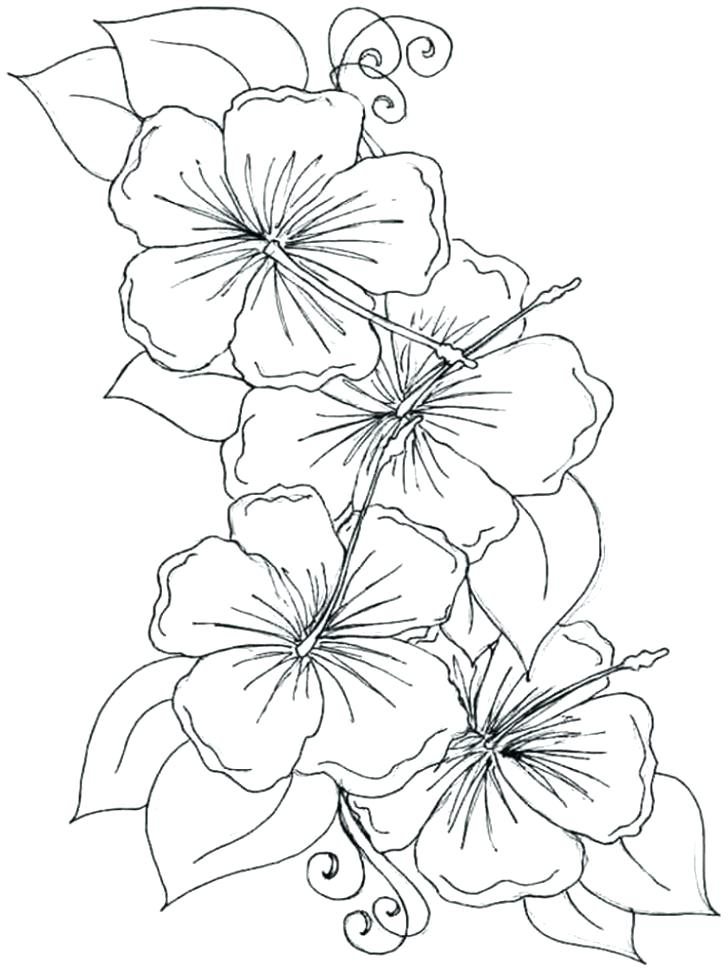 Printable Hawaiian Coloring Pages Printable Hawaiian Coloring Pages