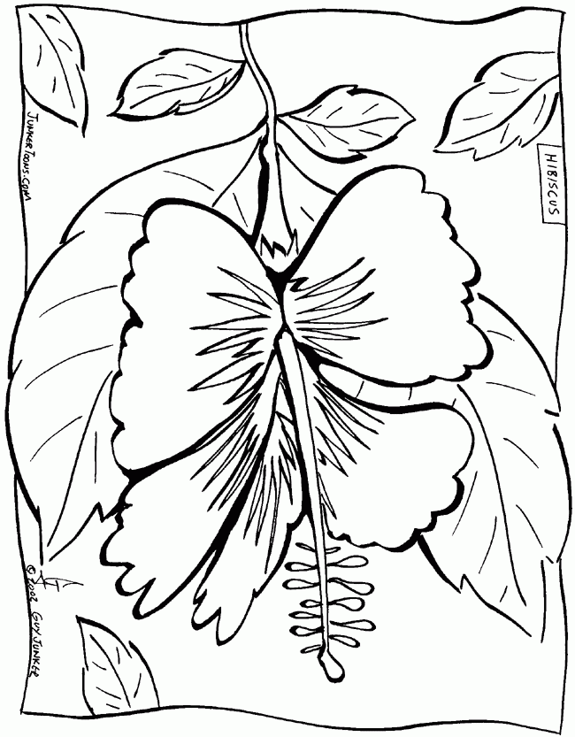 Printable Hawaiian Coloring Pages Coloring Home Printable Hawaiian Coloring Pages Coloring Home