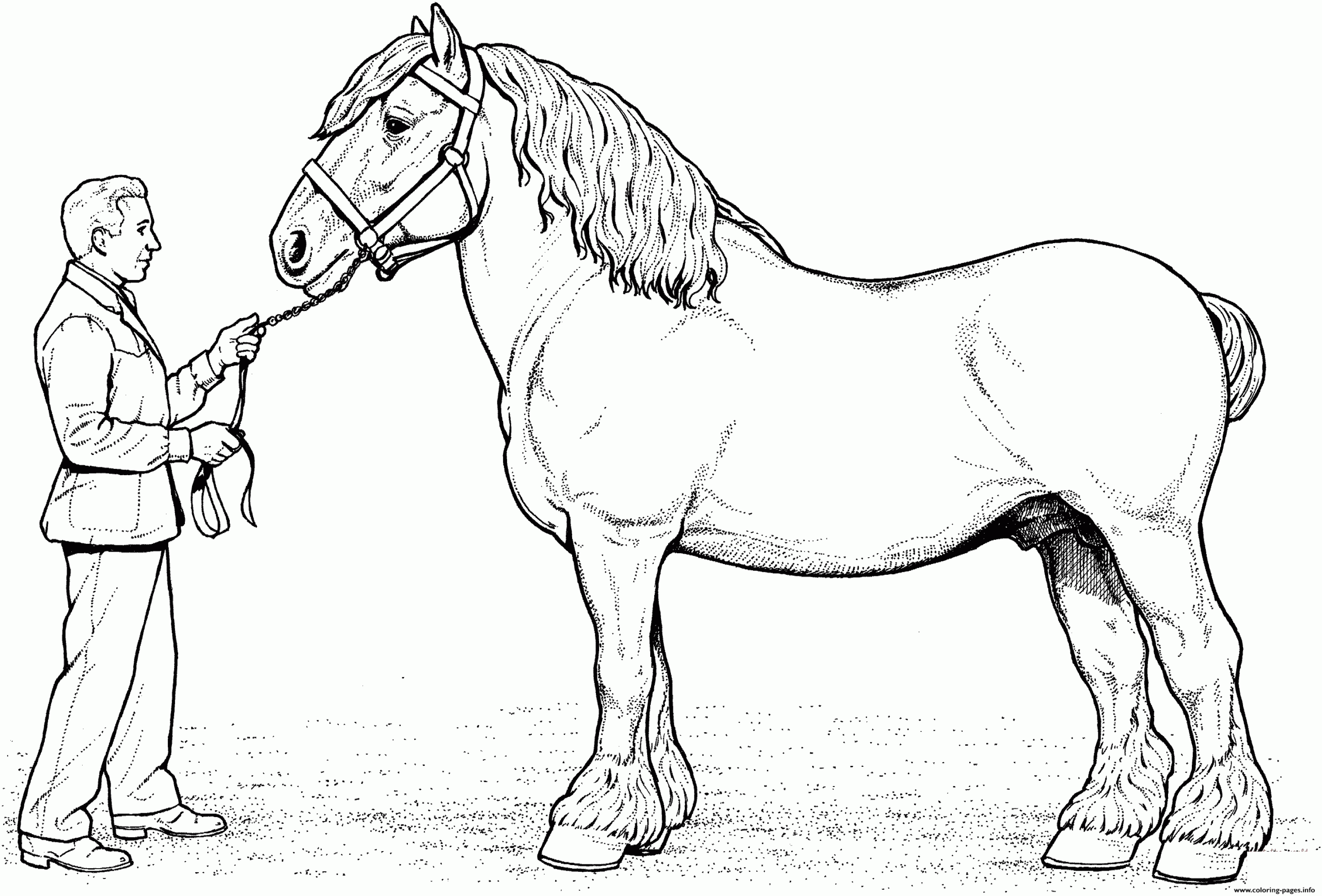 Printable Horse Coloring Pages Printable Horse Coloring Pages