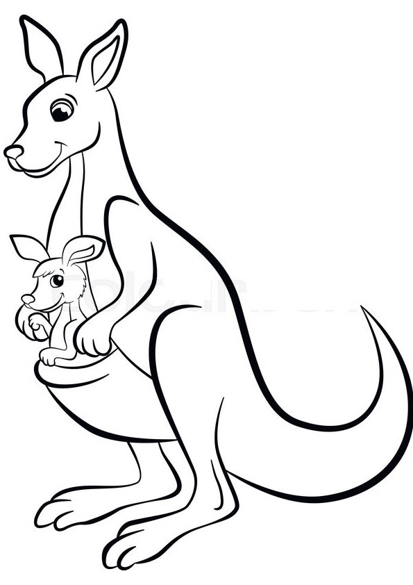 Printable Kangaroo Coloring Pages Printable Kangaroo Coloring Pages
