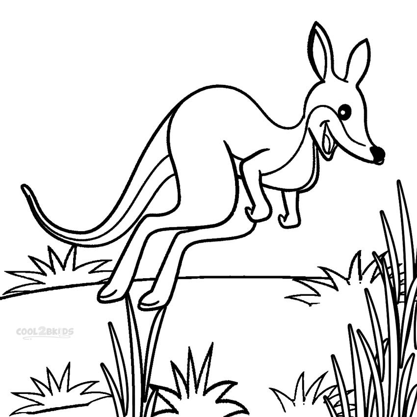 Printable Kangaroo Coloring Pages For Kids