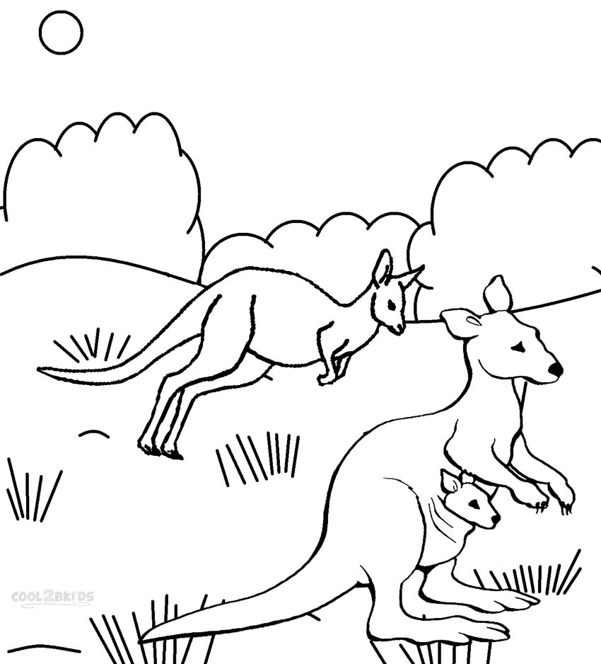 Printable Kangaroo Coloring Pages For Kids