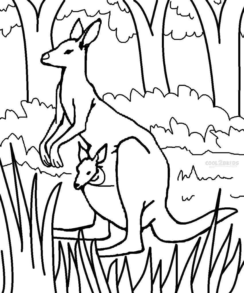 Printable Kangaroo Coloring Pages For Kids