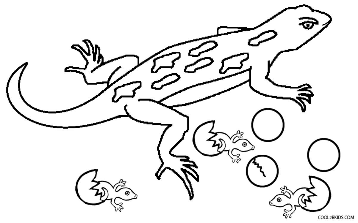 Lizard Coloring Pages Printable Lizard Coloring Pages Printable