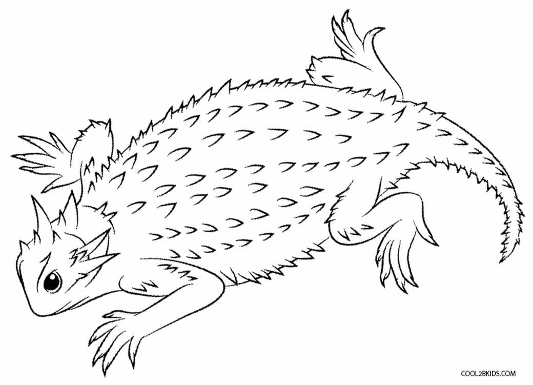 Printable Lizard Coloring Pages For Kids Printable Lizard Coloring Pages For Kids