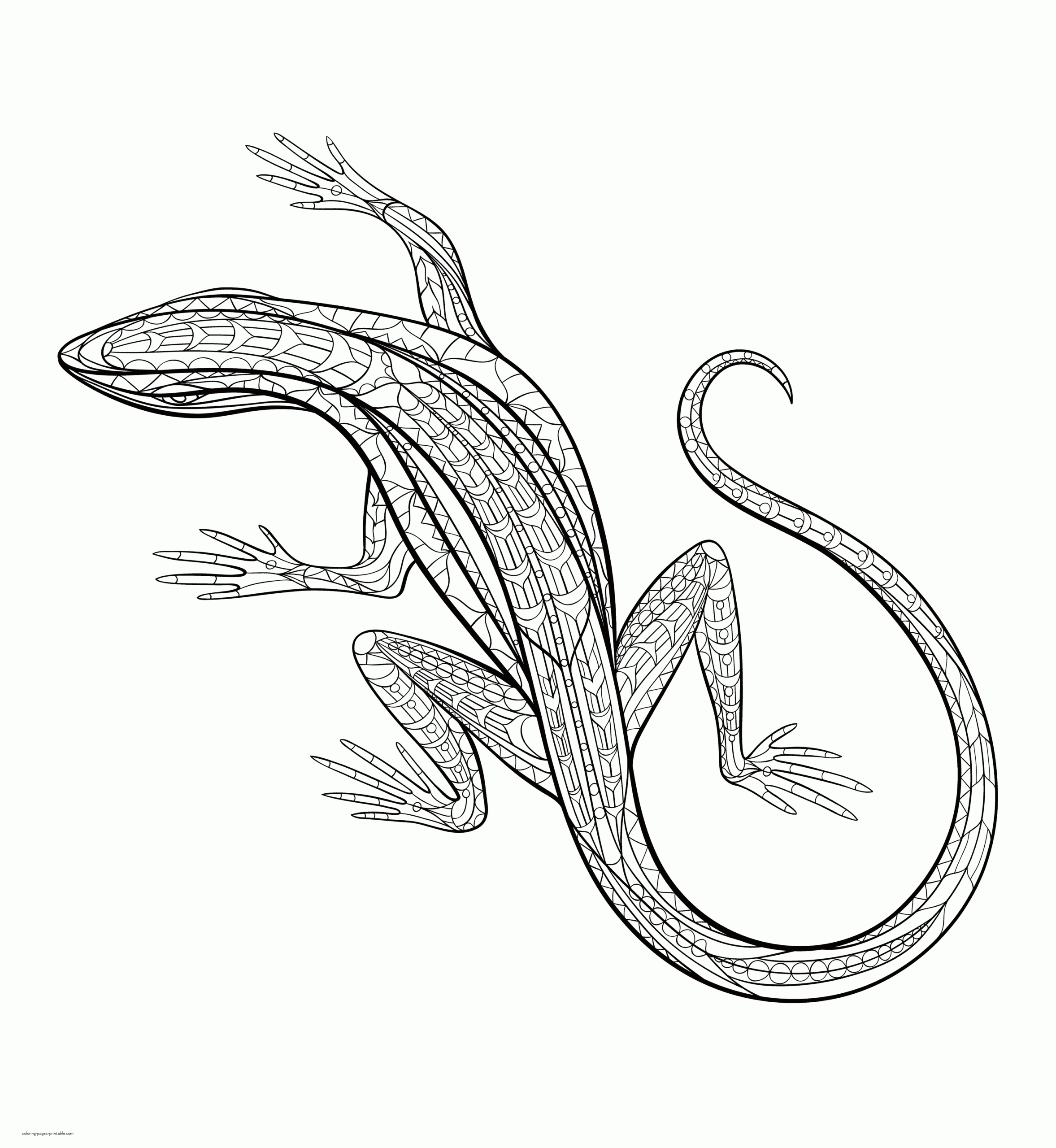 Printable Lizard Coloring Pages Printable Lizard Coloring Pages