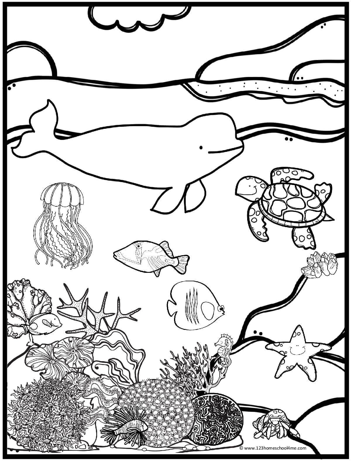Printable Ocean Coloring Pages Printable Ocean Coloring Pages