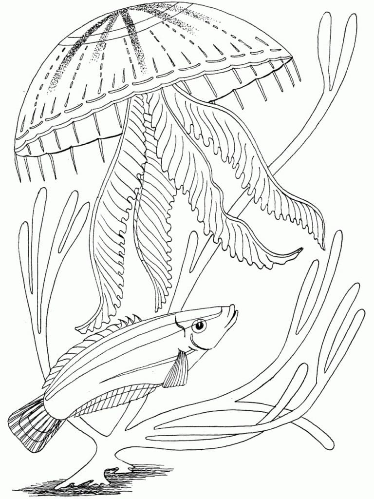Printable Ocean Printable Ocean