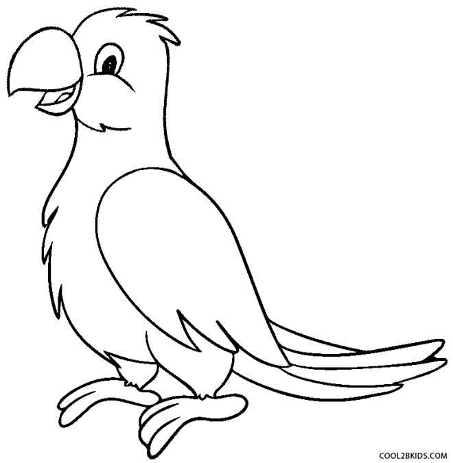 Printable Parrot Printable Parrot