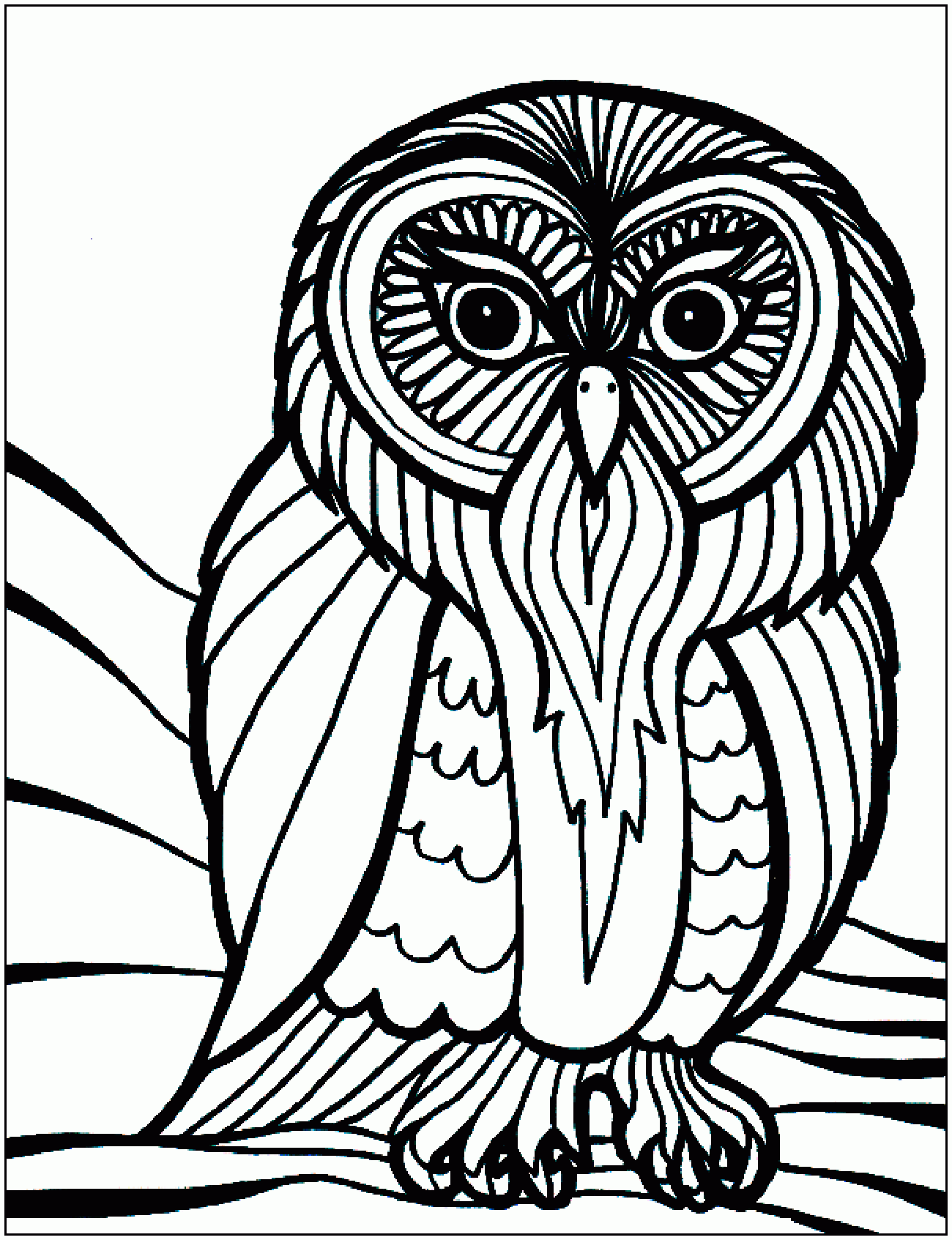Printable Pictures Of Birds Printable Word Searches Printable Pictures Of Birds Printable Word Searches