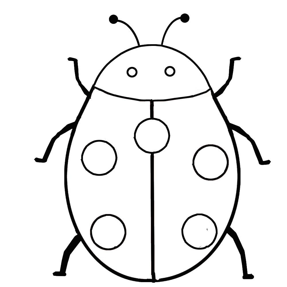 Printable Pictures Of Insects Cliparts Co Printable Pictures Of Insects Cliparts Co