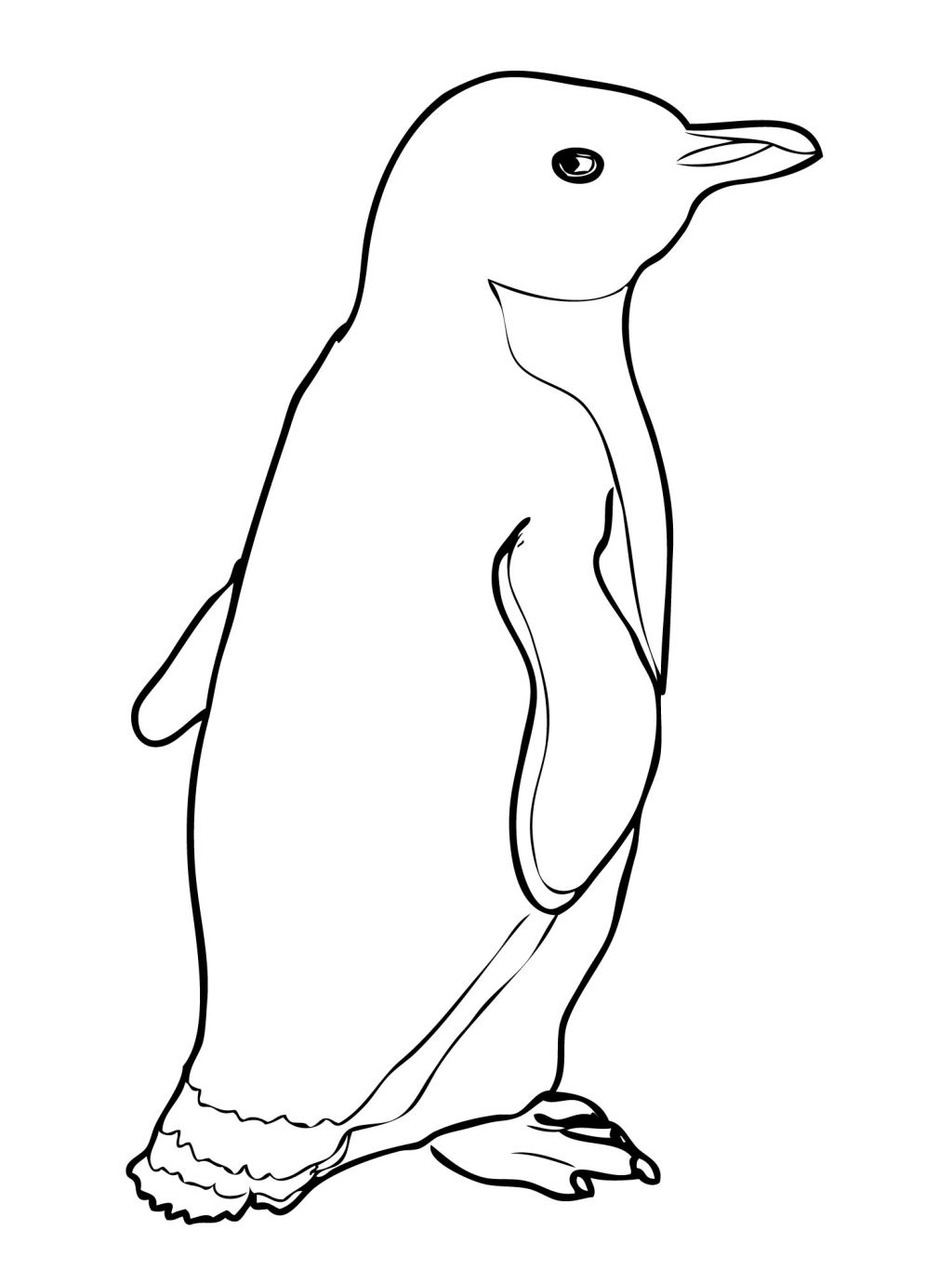 Free Printable Coloring Pages Penguins Free Printable Coloring Pages Penguins