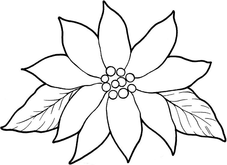 Printable Poinsettia Template Coloring Home Printable Poinsettia Template Coloring Home