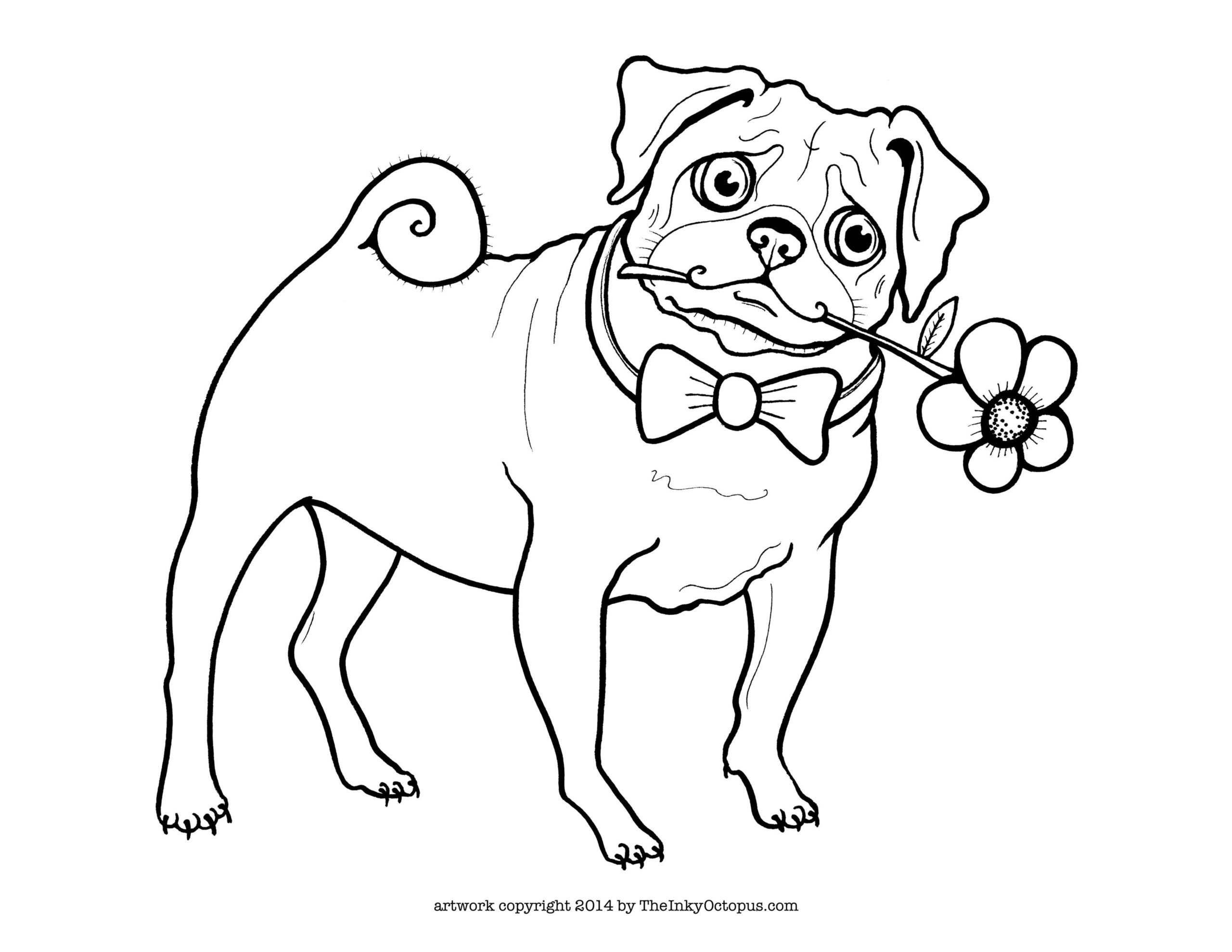 Printable Pug Coloring Pages Coloring Home Printable Pug Coloring Pages Coloring Home