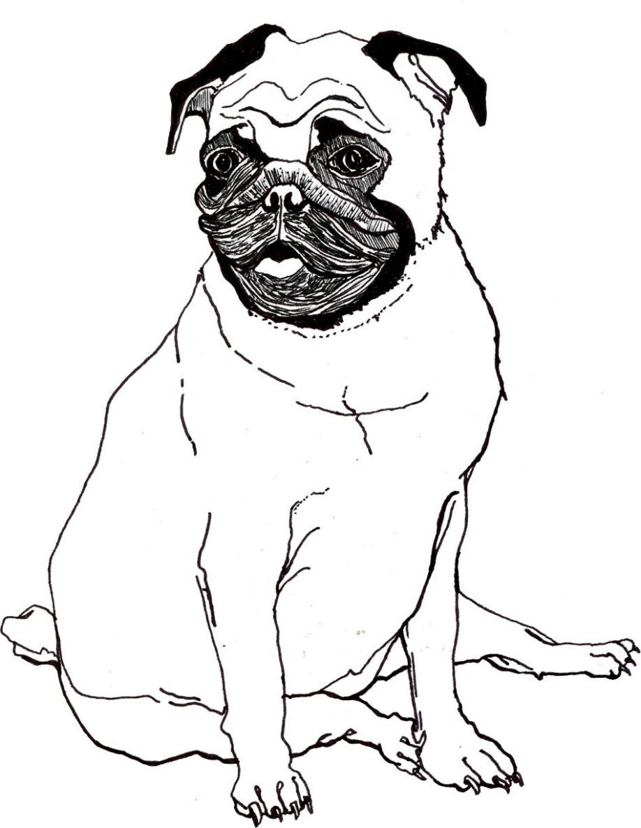 Printable Pug Coloring Pages Coloring Home Printable Pug Coloring Pages Coloring Home