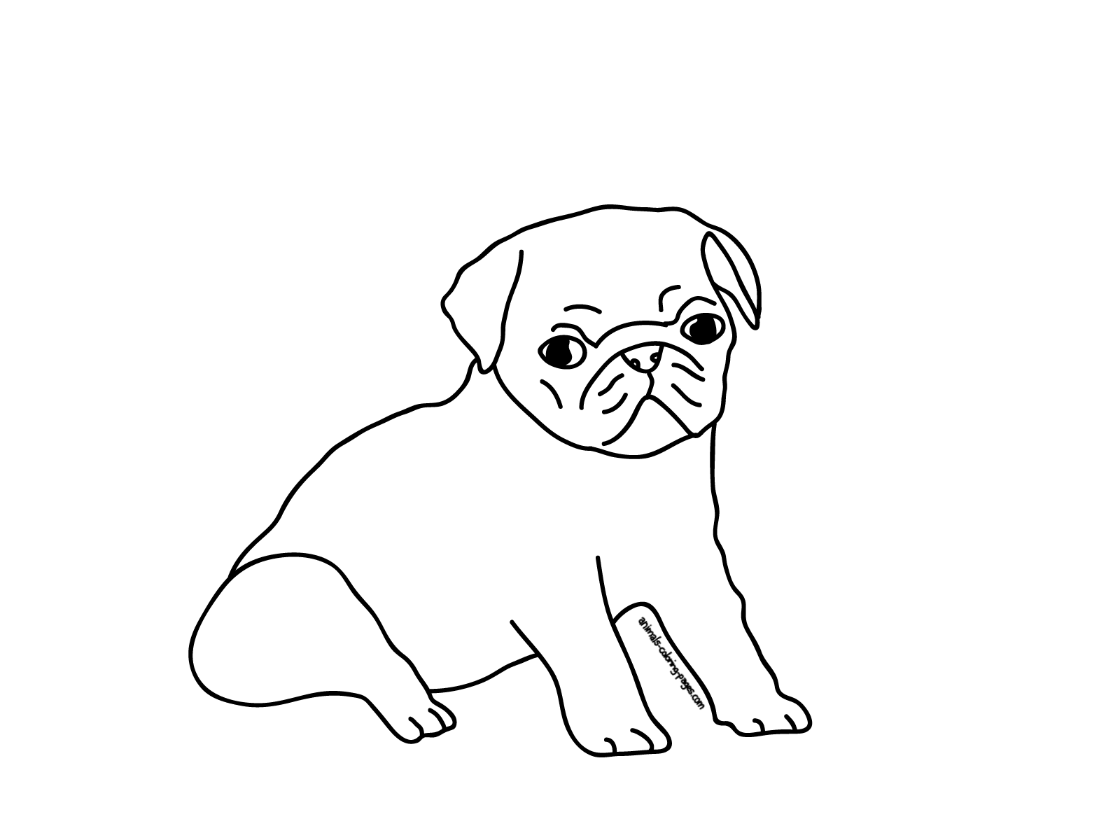 Pug Printable Coloring Pages Pug Printable Coloring Pages