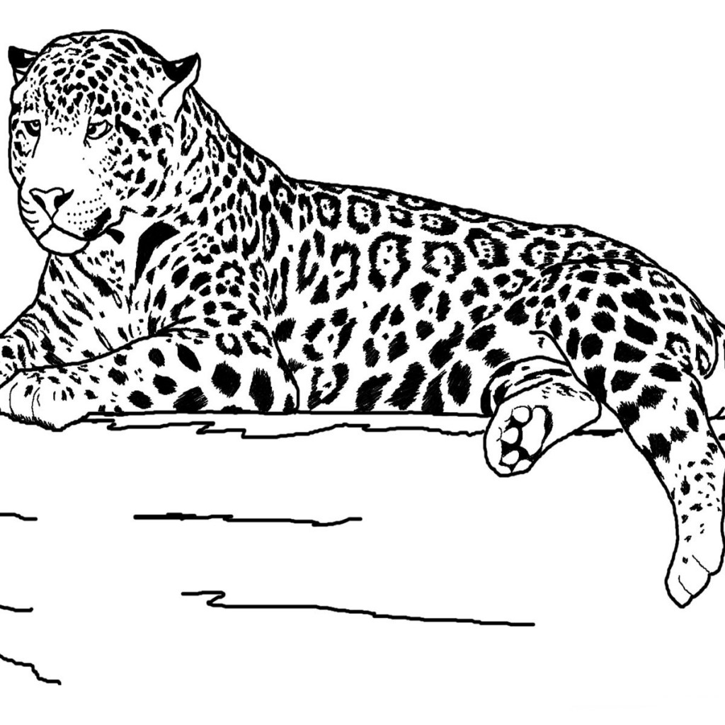 Printable Realistic Animal Coloring Pages At GetColorings Free Printable Realistic Animal Coloring Pages At GetColorings Free
