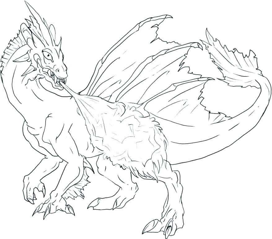 Printable Realistic Animal Coloring Pages At GetColorings Free Printable Realistic Animal Coloring Pages At GetColorings Free