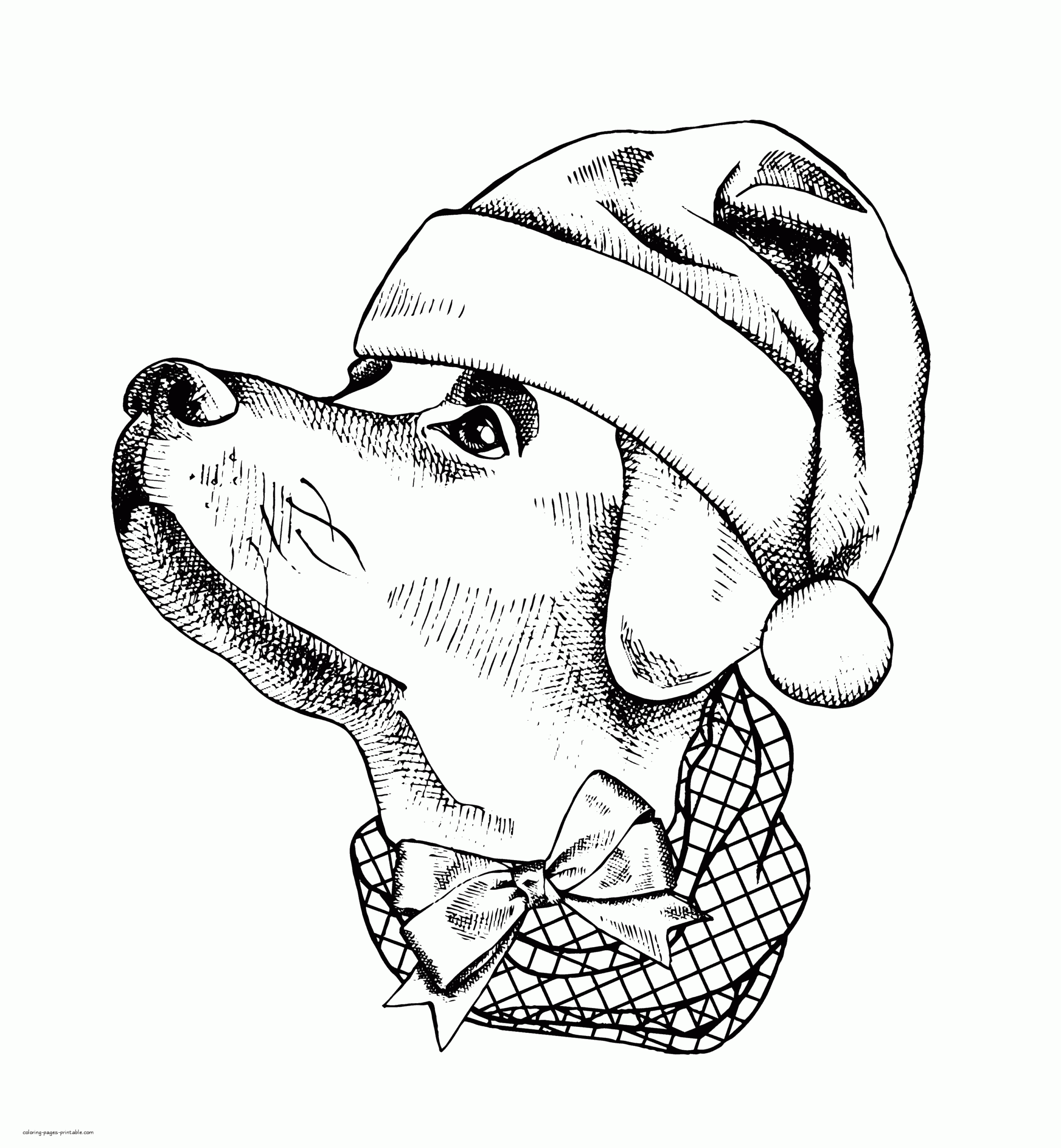Printable Realistic Dog Coloring Pages Vrogue Co Printable Realistic Dog Coloring Pages Vrogue Co