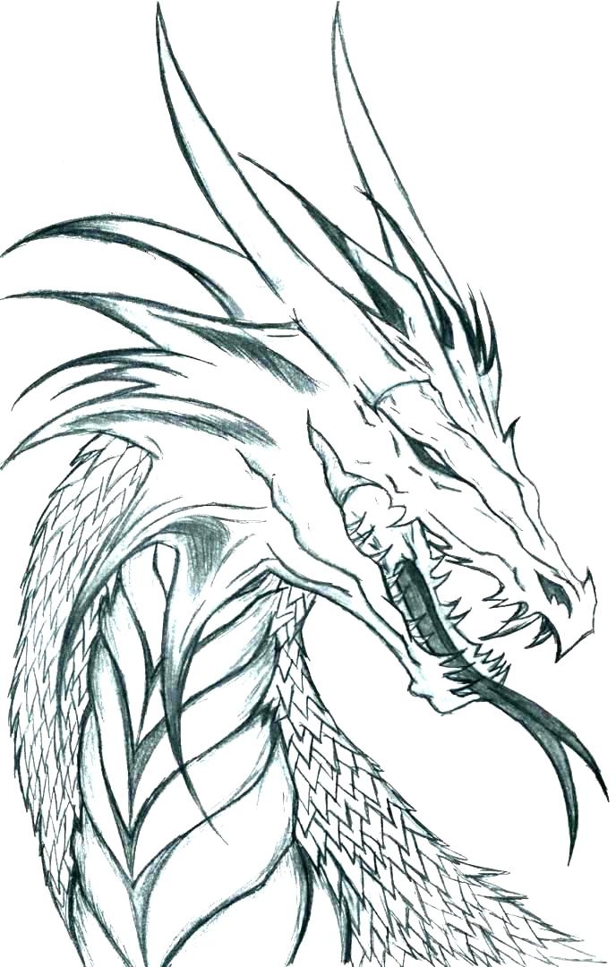 Printable Realistic Dragon Coloring Pages Printable Realistic Dragon Coloring Pages